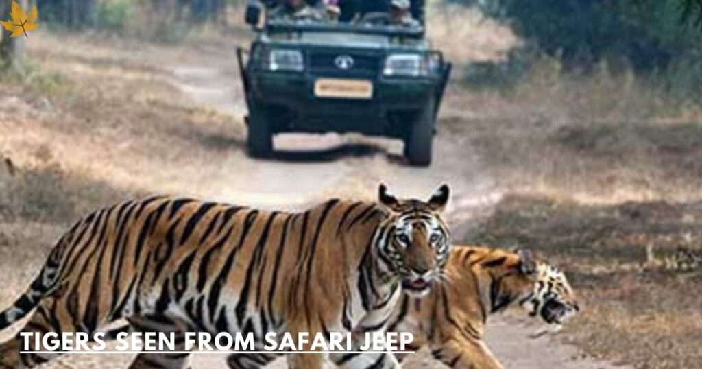 panna tiger reserve